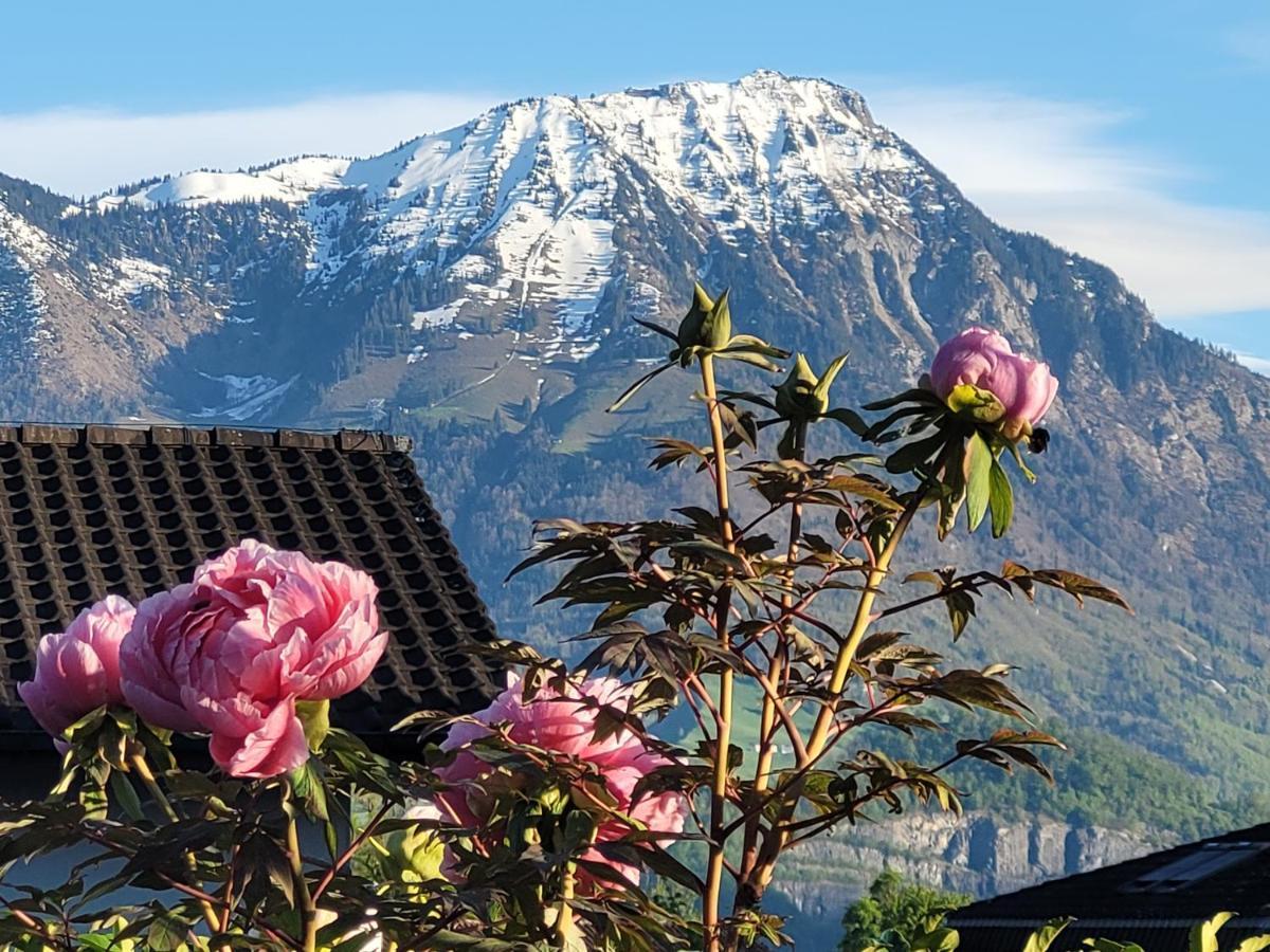 Villa Castagna Guesthouse Luzern Buitenkant foto